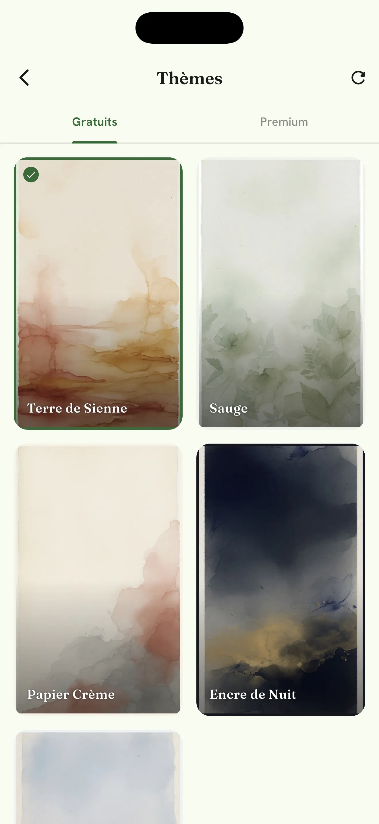 Choix des thèmes visuels de l’application